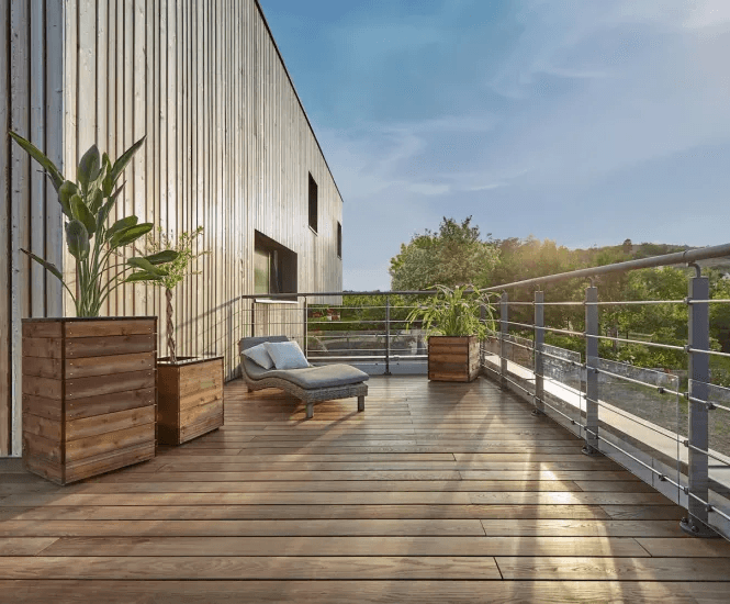 Softwood